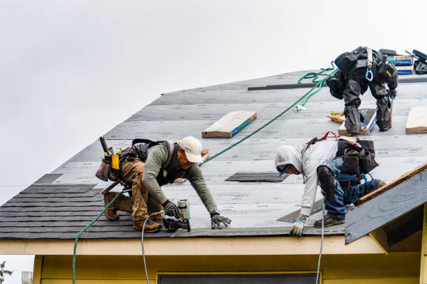 Professional Gutter Installation technician working in Minneota, MN